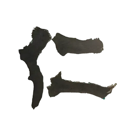 仁